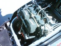 Sleds 006.jpg