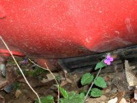 100_0283.jpg