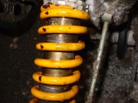 OHLINS SHOCK2.jpg