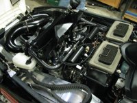 Picture 001.jpg