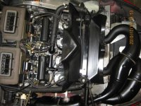 IMG_1736[1].jpg