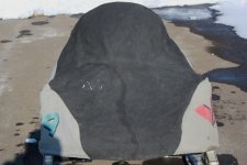 cover 006 (640x427).jpg