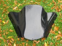 windshields 017.jpg
