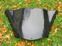 windshields 019.jpg