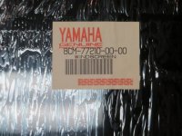 Windshields2 005.jpg