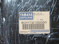 Windshields2 004.jpg
